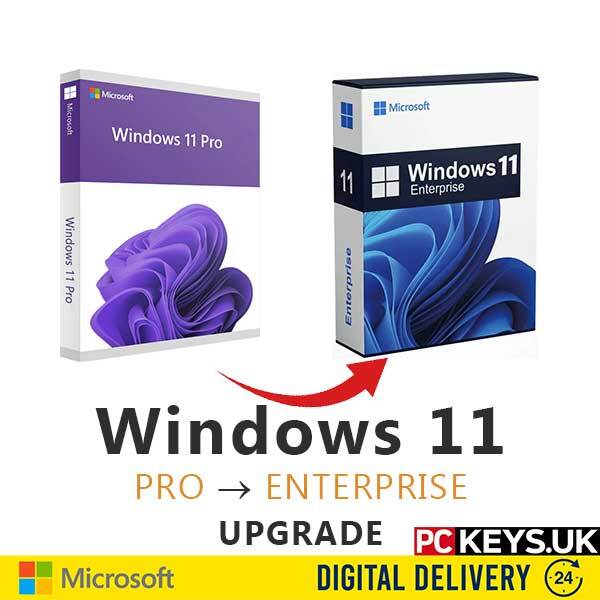 Windows 11 Professional Pro to Enterprise
