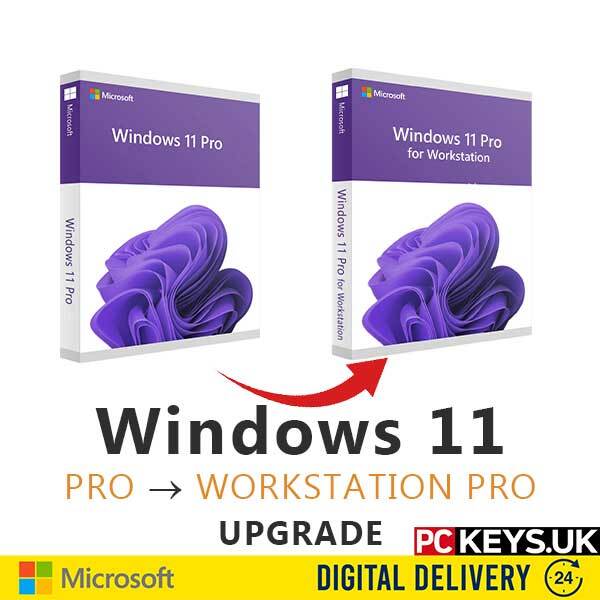 Windows 11 Pro to Professional Workstation