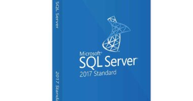 Sql server 2017 standard