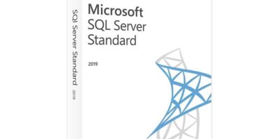 Sql server 2019 standard