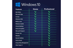 Windows 10 comparison table of Home and Professional versions