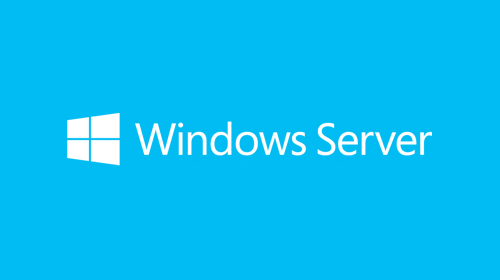 Windows Server License
